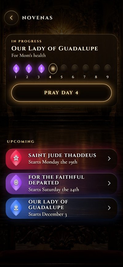 A novena to Our Lady of Guadalupe in progress, with the prayed days lit